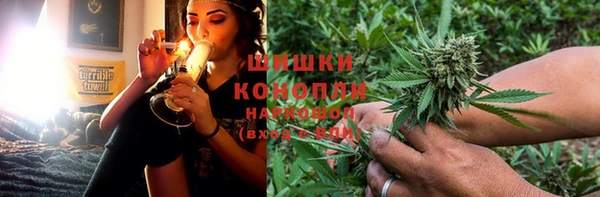 apvp Алзамай