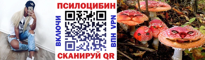 купить закладку  Железногорск-Илимский  Псилоцибиновые грибы ЛСД 